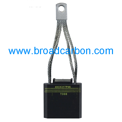 493X317P06 T900 Carbon Brush